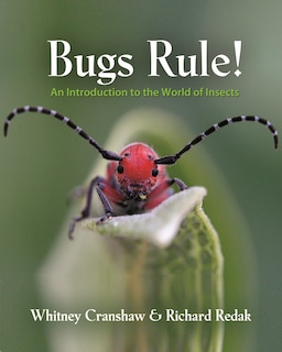 Front cover_Bugs Rule!