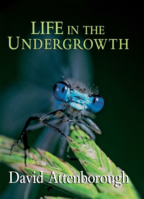 Front cover_Life in the Undergrowth