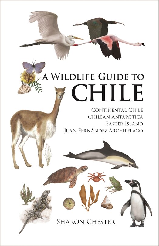 Front cover_A Wildlife Guide to Chile