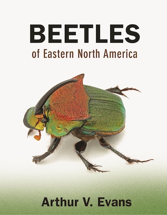 Beetles of Eastern North America