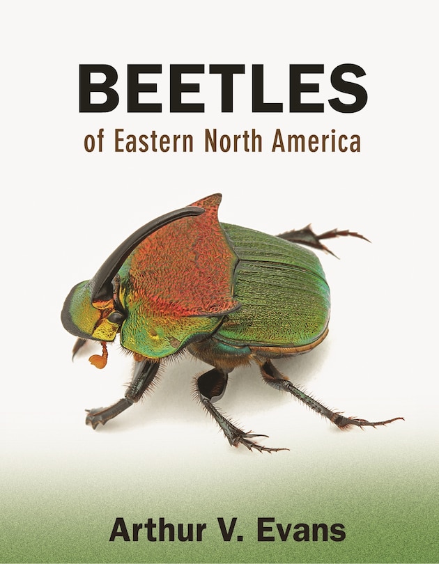 Couverture_Beetles of Eastern North America