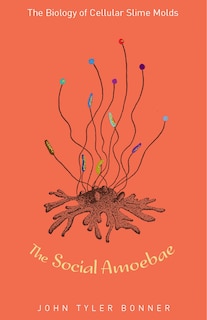 Couverture_The Social Amoebae