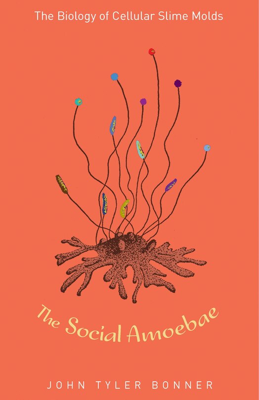Couverture_The Social Amoebae