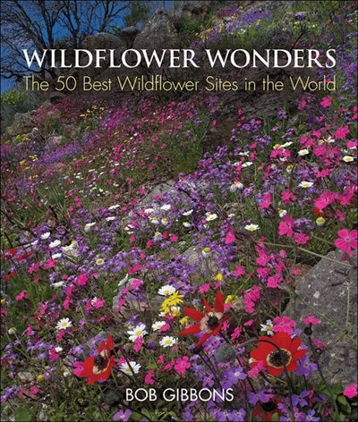 Front cover_Wildflower Wonders