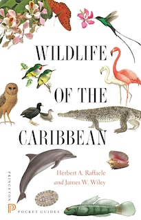 Couverture_Wildlife of the Caribbean