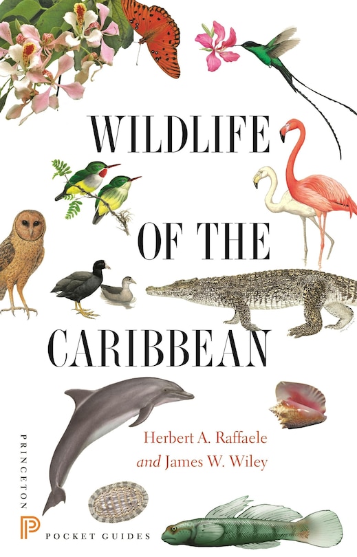 Couverture_Wildlife of the Caribbean