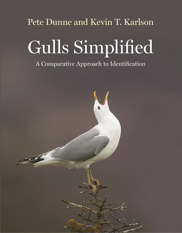 Front cover_Gulls Simplified