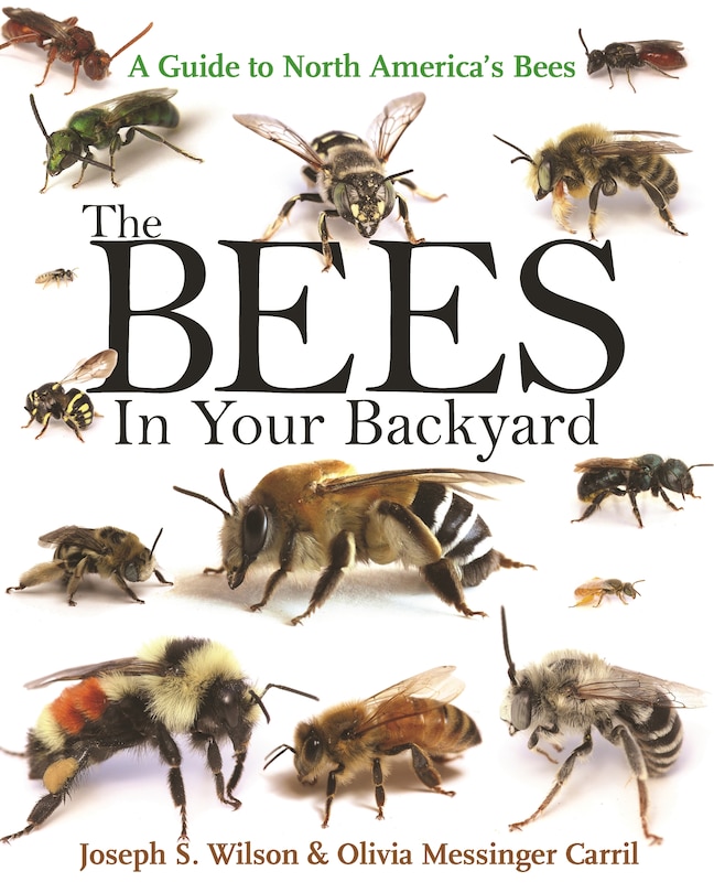 Front cover_The Bees in Your Backyard