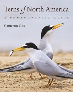 Front cover_Terns of North America