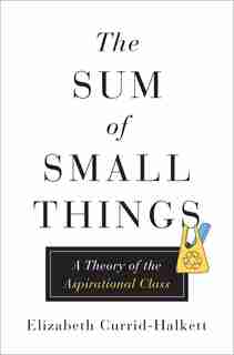 The Sum of Small Things: A Theory of the Aspirational Class by Elizabeth Currid-Halkett