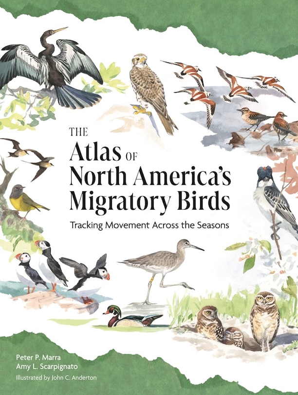 Couverture_The Atlas of North America’s Migratory Birds