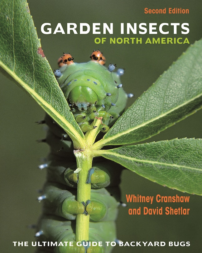 Front cover_Garden Insects of North America