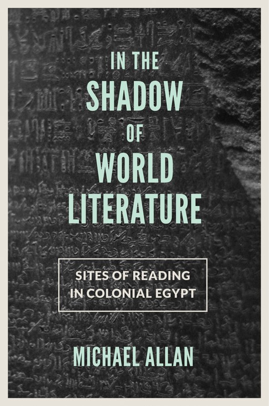 Front cover_In the Shadow of World Literature
