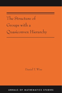Couverture_The Structure Of Groups With A Quasiconvex Hierarchy