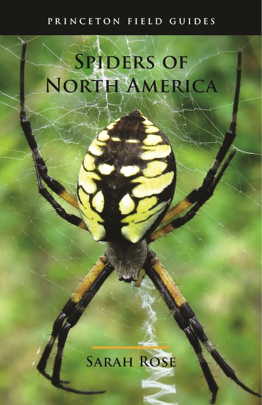Front cover_Spiders Of North America