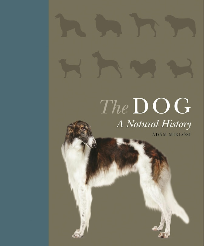 Couverture_The Dog