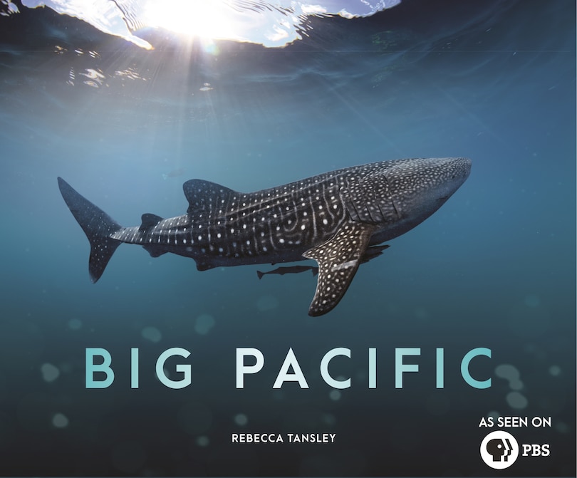Front cover_Big Pacific
