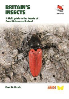 Front cover_Britain's Insects