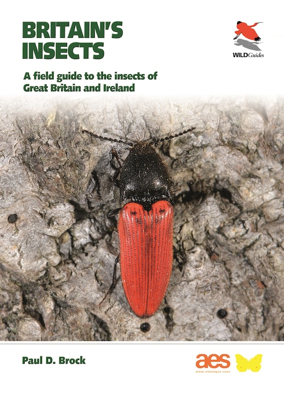 Front cover_Britain's Insects