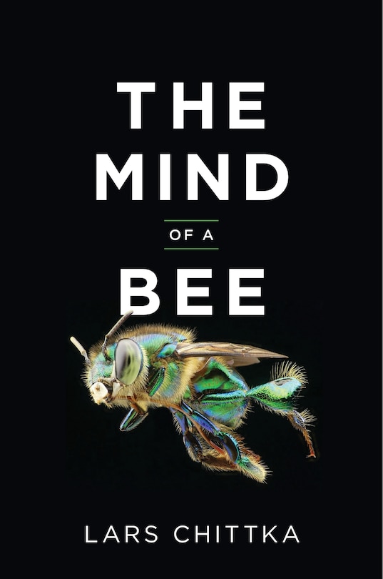 Front cover_The Mind Of A Bee