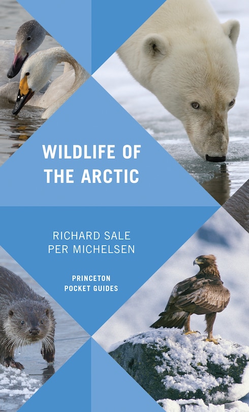 Couverture_Wildlife of the Arctic