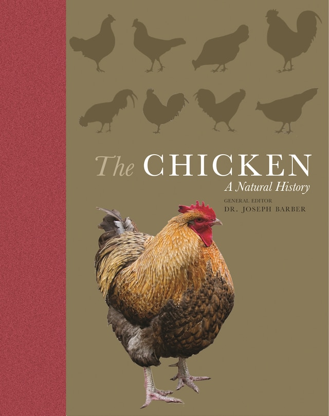 Couverture_The Chicken