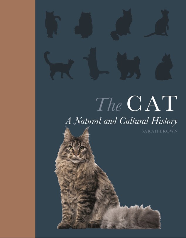 Front cover_The Cat