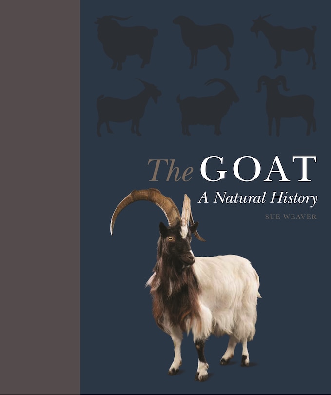 Front cover_The Goat