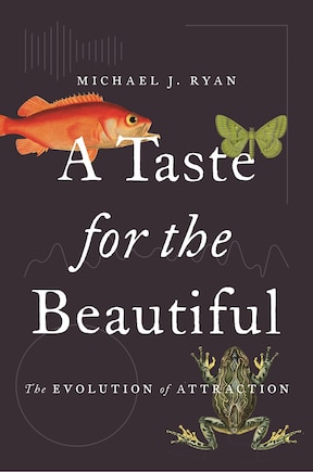 A Taste For The Beautiful: The Evolution Of Attraction