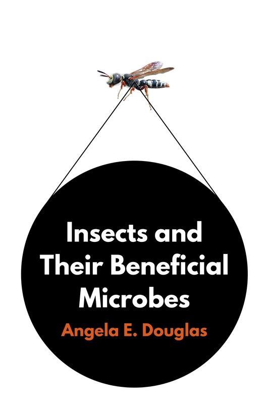 Couverture_Insects And Their Beneficial Microbes