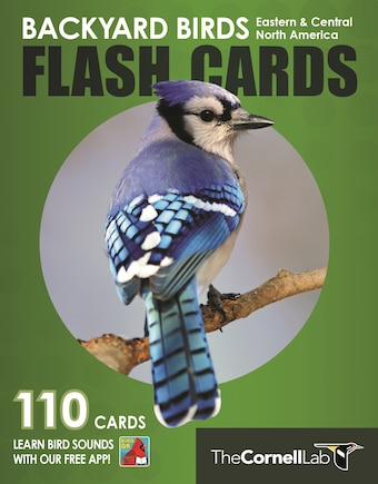 Backyard Birds Flash Cards - Eastern & Central North America