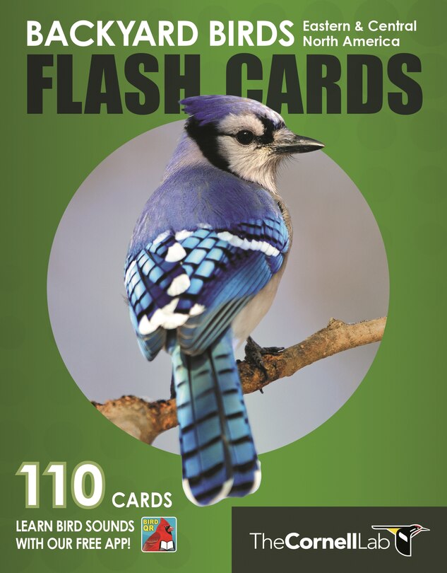 Front cover_Backyard Birds Flash Cards - Eastern & Central North America