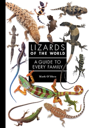 Lizards Of The World: A Guide To Every Family