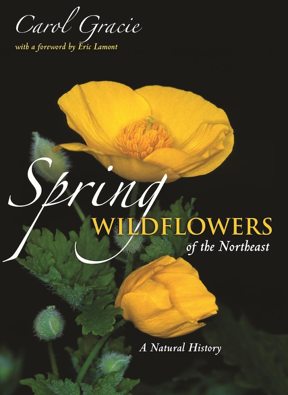 Front cover_Spring Wildflowers Of The Northeast