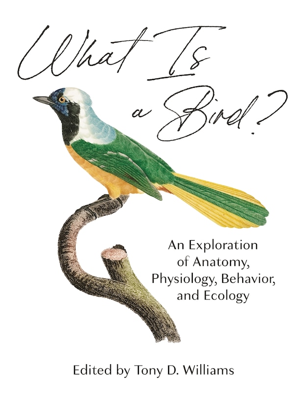 Couverture_WHAT IS A BIRD
