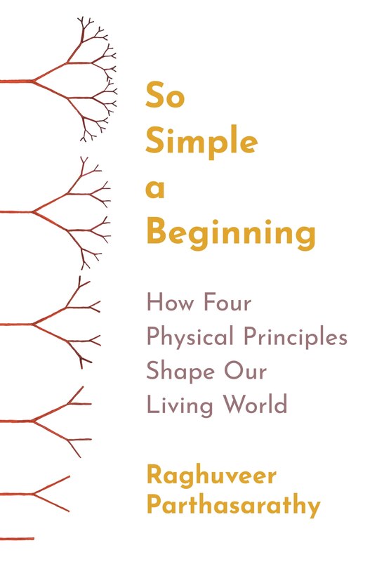 Couverture_So Simple A Beginning