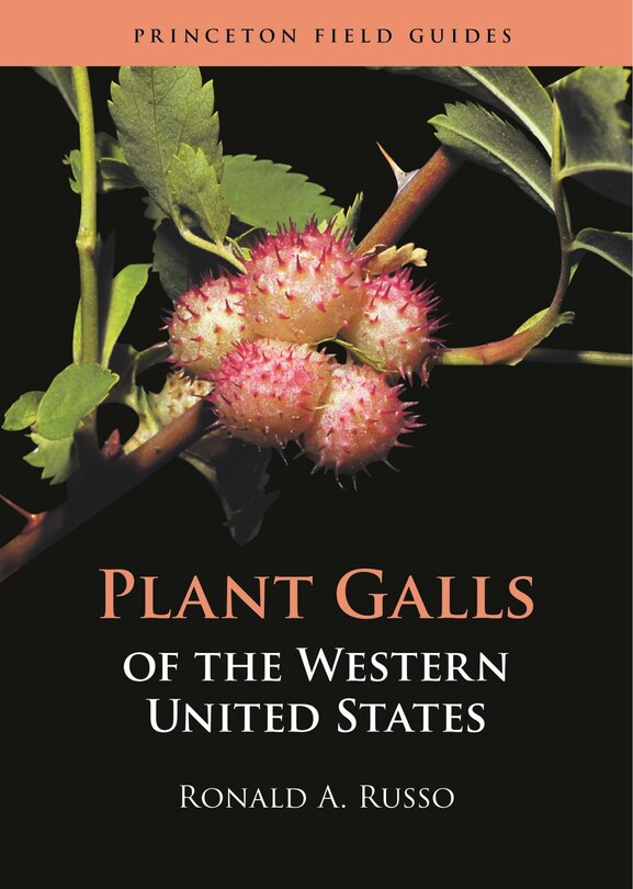 Front cover_Plant Galls Of The Western United States