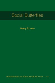 Front cover_Social Butterflies