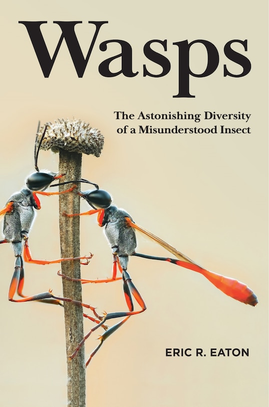 Couverture_Wasps