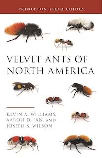 Front cover_Velvet Ants of North America