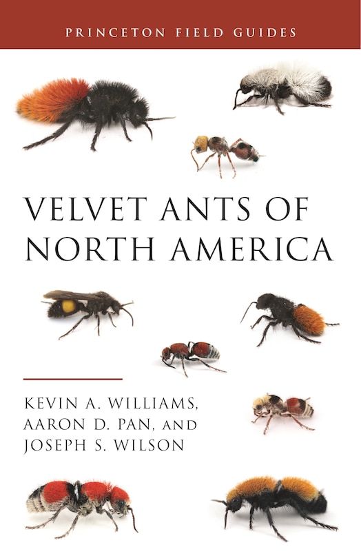 Front cover_Velvet Ants of North America