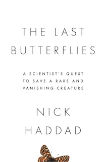 Couverture_The Last Butterflies