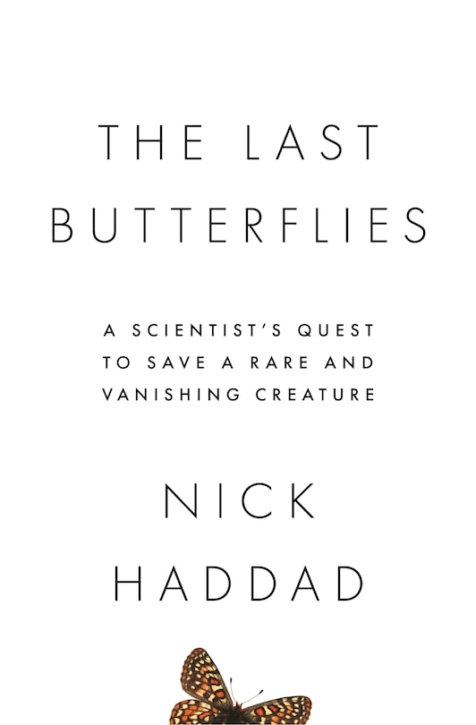 Couverture_The Last Butterflies