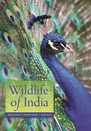 Wildlife Of India