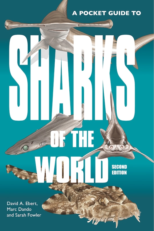 Front cover_A Pocket Guide To Sharks Of The World