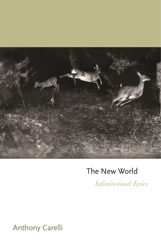 Couverture_The New World
