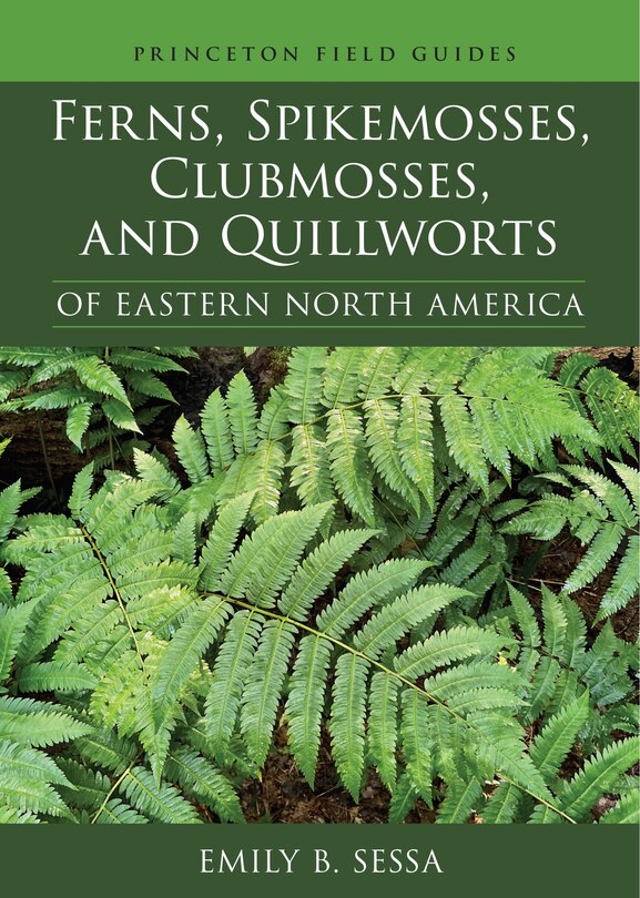 Front cover_Ferns, Spikemosses, Clubmosses, and Quillworts of Eastern North America