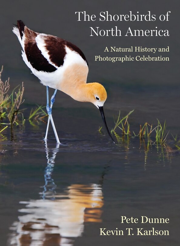 Couverture_The Shorebirds of North America
