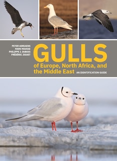 Front cover_Gulls Of Europe, North Africa, And The Middle East