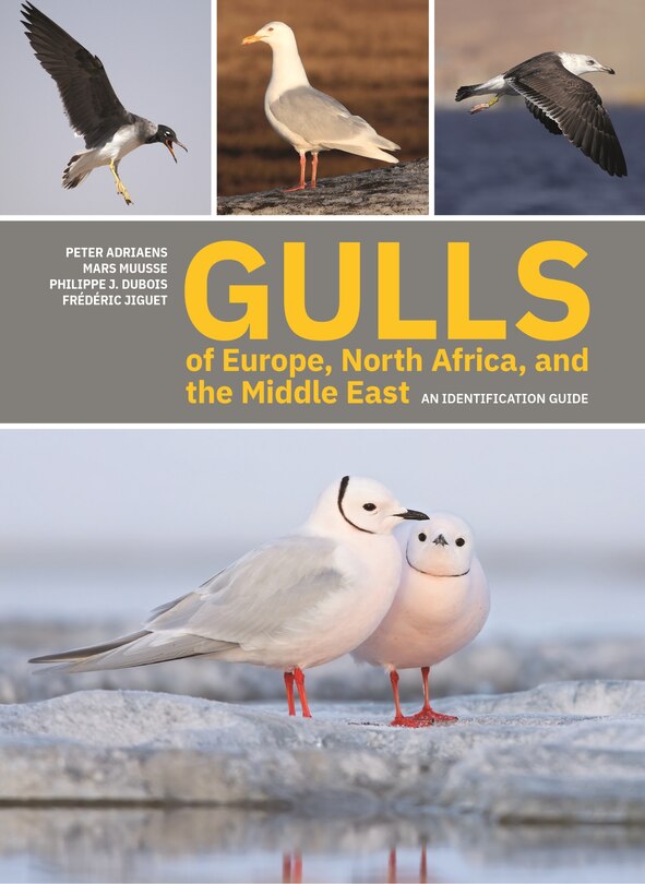 Front cover_Gulls Of Europe, North Africa, And The Middle East
